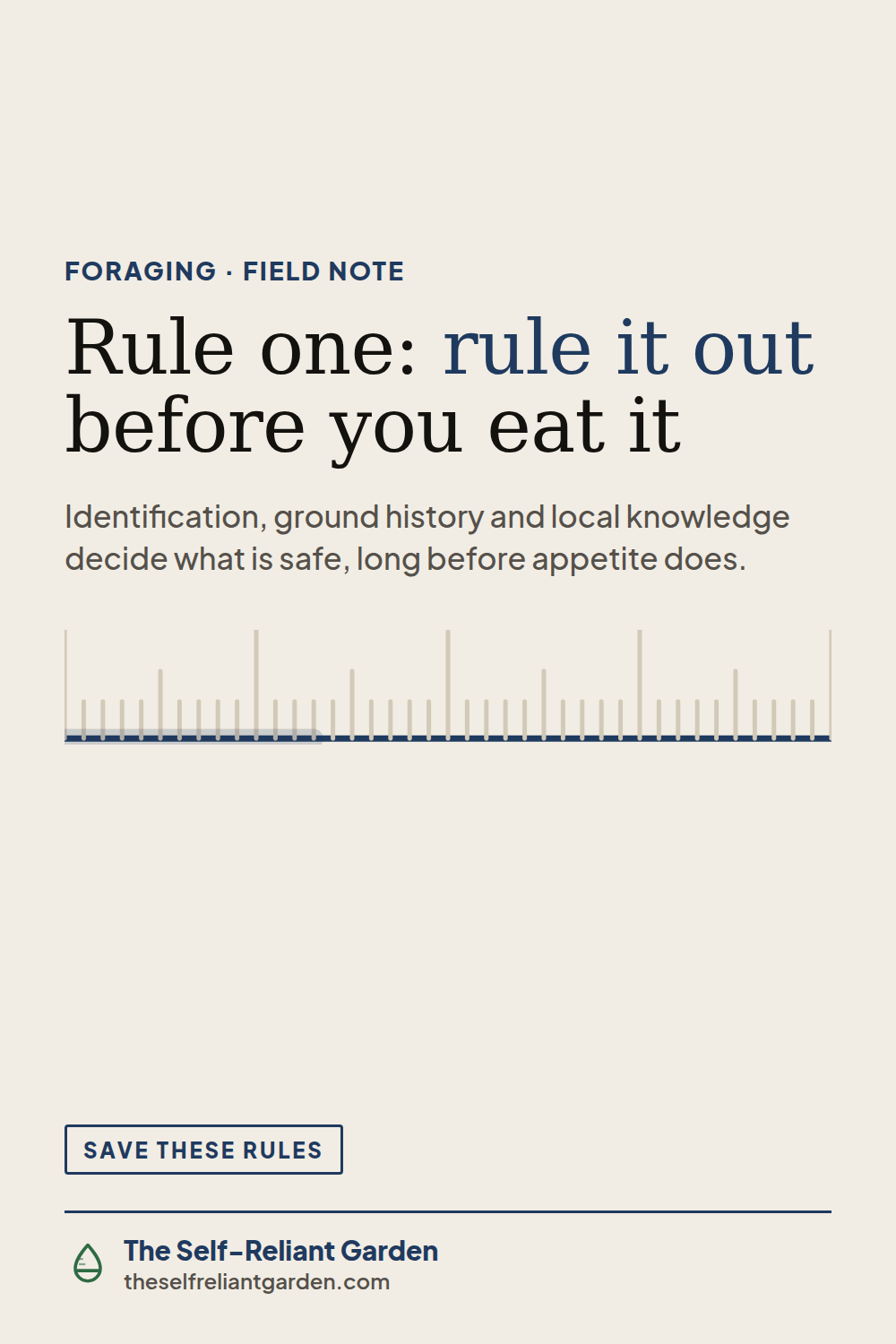 First-time foraging rules that matter more than any plant list, safety-first field note from The Self-Reliant Garden